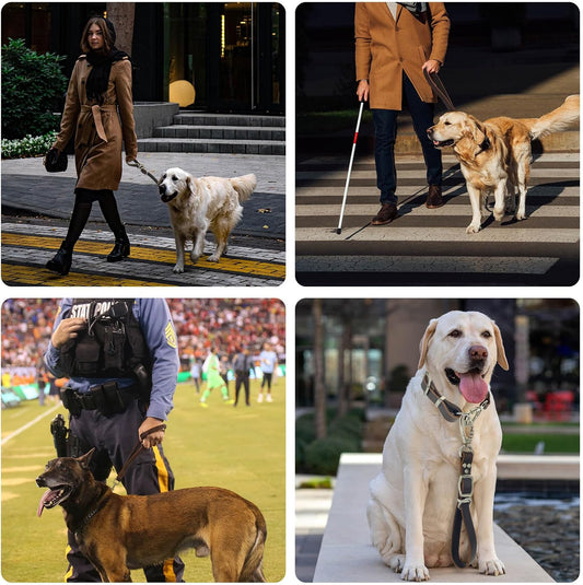 Leather Short Dog Leash,Adjustable Length Dog Leads,Extra Thick Genuine and Heavy-Duty Hardware Handmade Assembled with Extension Function Strong Traffic Pet Leashes. (Width: 3/4" Length: 12-23")