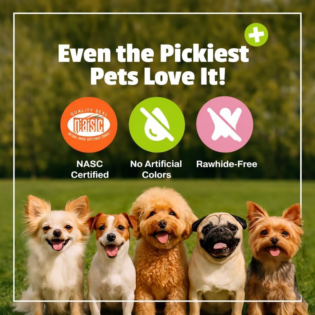 Allergy Plus Calming Soft Chews for Dogs, Support for Seasonal Allergies, Paw Licking, Itchy Skin, Everyday Stress, Skin Health & Immune Health, 60 Count
