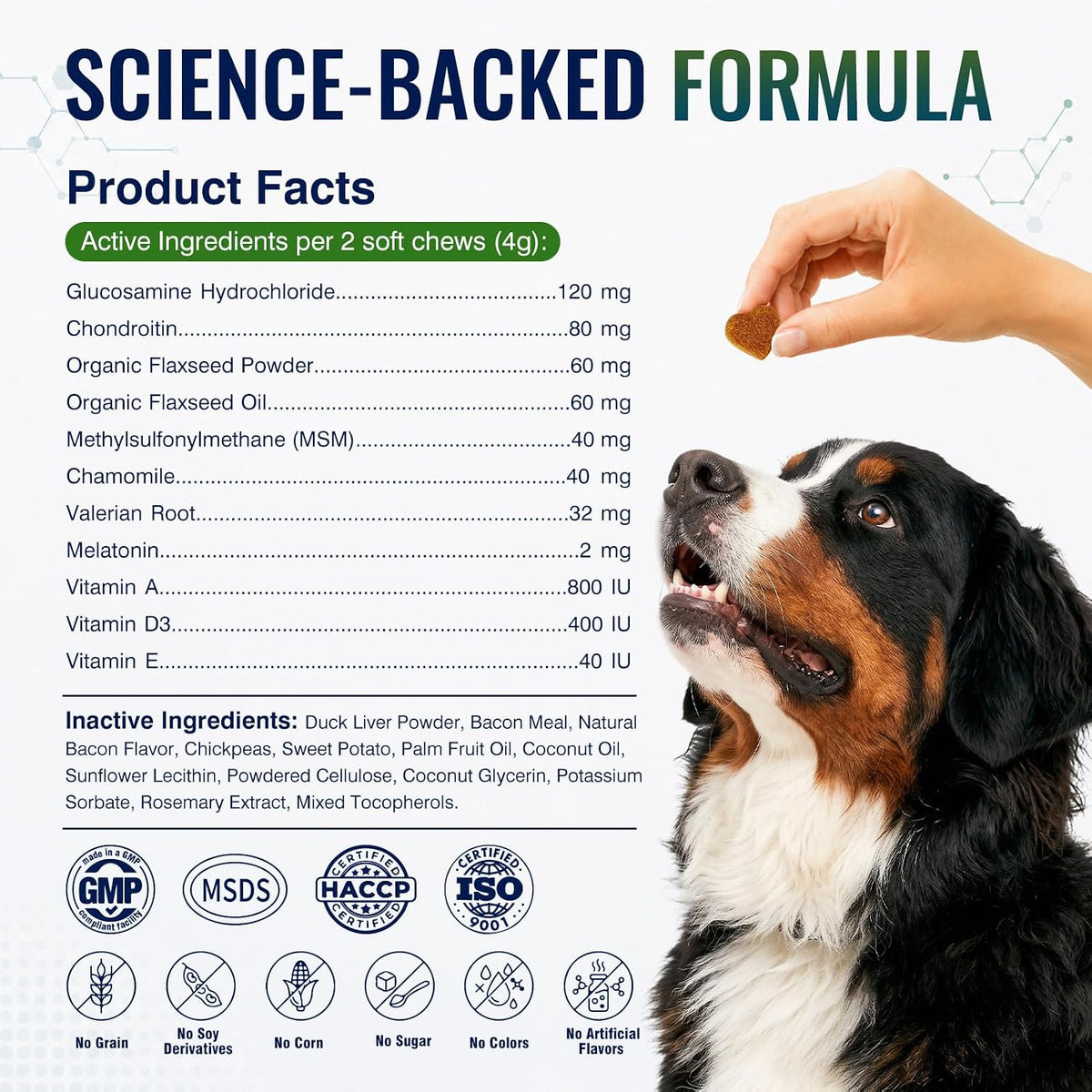 Hip and Joint Supplement for Dogs 200ct, Calming & Skin Support All dogs