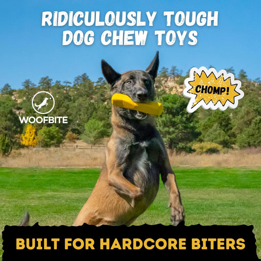 Indestructible Stick Dog Toy - Lifetime Replacement - Durable Chew Toy for Aggressive Chewers - Safe Non-Toxic Natural Rubber - Chew Tug & Fetch - Tough, Heavy Duty - Med/Large Breed, 8”x2”