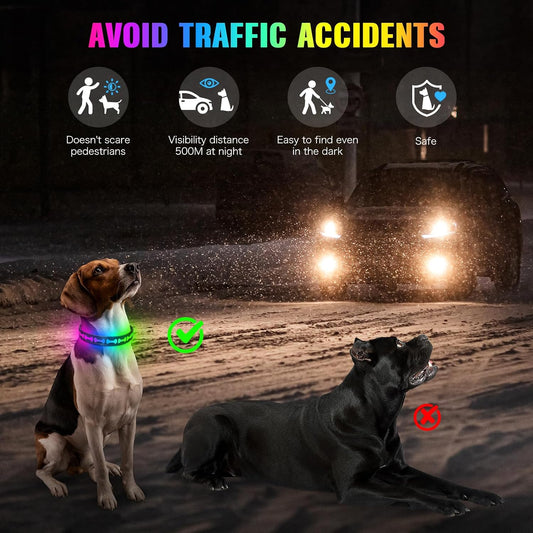 LED Dog Collar Light up USB Rechargeable, 7-Color Glow, Grey, L