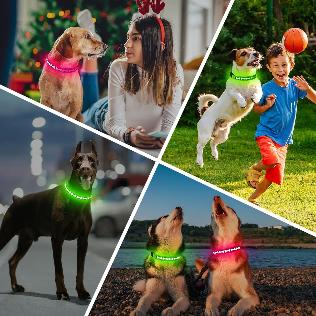 LED Dog Collar Light up USB Rechargeable, 7-Color Glow, Grey, L