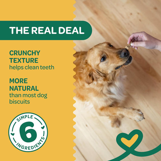 Nature's Biscuits Dog Treats, Pumpkin, 16 oz