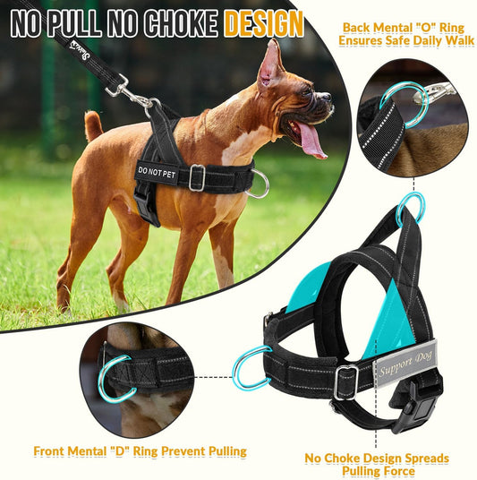 No Pull Dog Harness and Leash Set, Soft Padded for Large Medium Dog