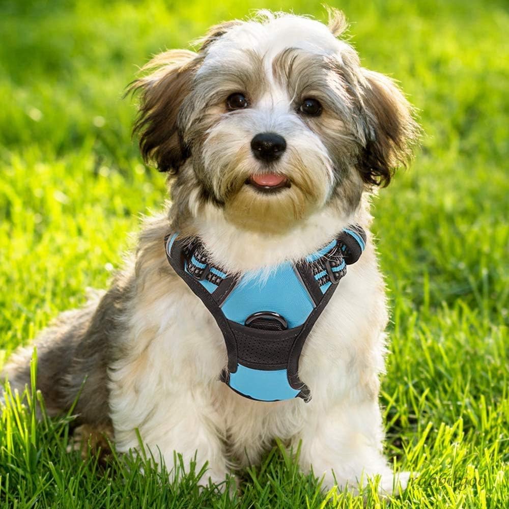 Dog Harness, No Pull for Large Dogs with 2 Leash Clips, Pet Vest | No Choke with Handle, Adjustable Soft Padded, Reflective, Easy Control for Walking, Black, Large