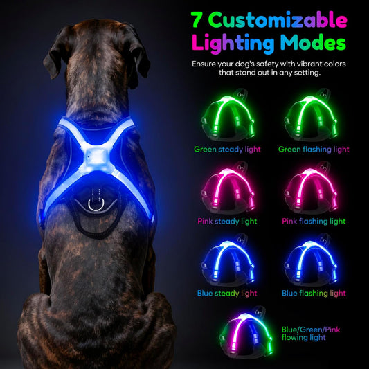 Light Up Dog Harness, Multicolor LED Reflective Vest, Glow in The Dark Safety Dog Harness, USB-C Rechargeable with Battery Indicator, Adjustable No-Pull Lighted Harness for Night Walking (Large)