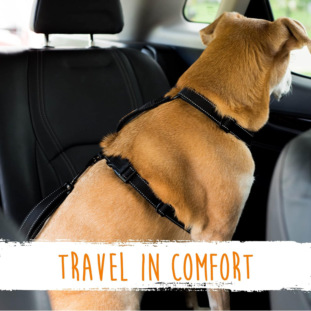 Dog Seat Belt for Car Headrest, for Small, Medium & Large Dogs
