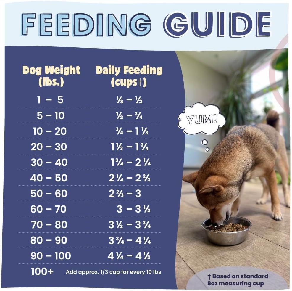 Air Dried Dog Food Beef Recipe, Vet Recommended, Made in USA, 2lb