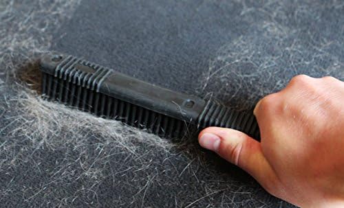 Detail King Rubber Pet Hair Removal Brush - Carpet & Upholstery - 1" Black Rubber Bristles