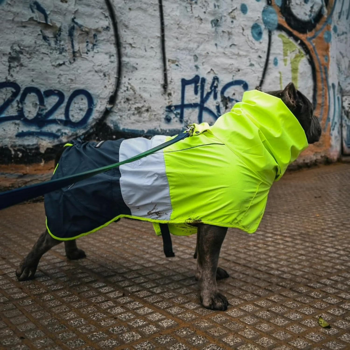 Dog Raincoat - Waterproof Rain Jacket w/Hood, Full Coverage