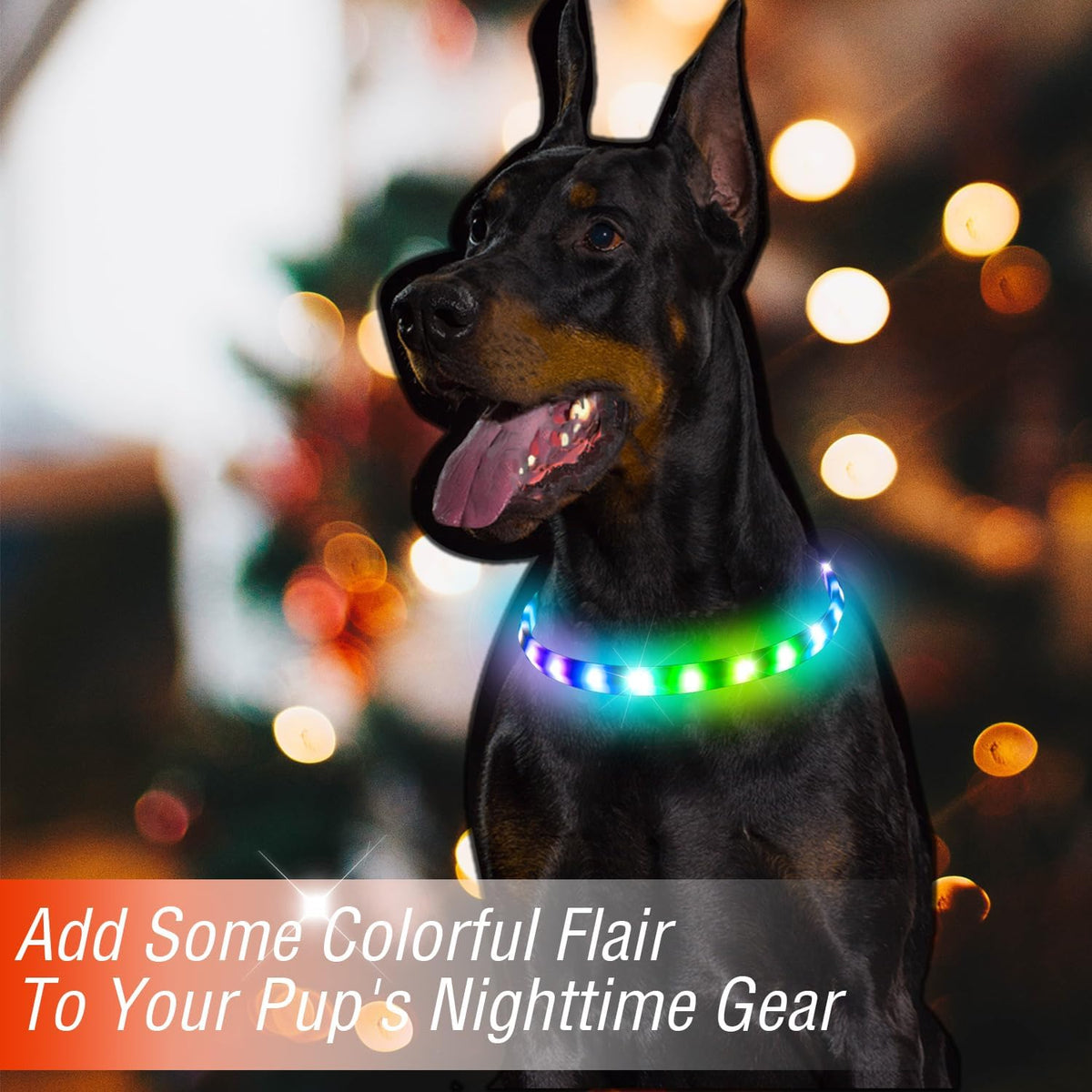 Light Up Dog Collar, Multicolor LED Glow Collar for Safety Night Walking