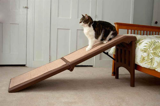 Pet Gear Free Standing Pet Ramp for Cats and Dogs, No Assembly Required, Easy Fold for Storage or Travel, Portable, Holds Up to 100lbs, Wheat