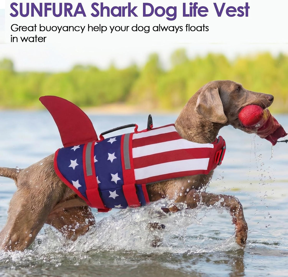 Dog Life Jacket - Shark Safety Vest for Swimming & Boating