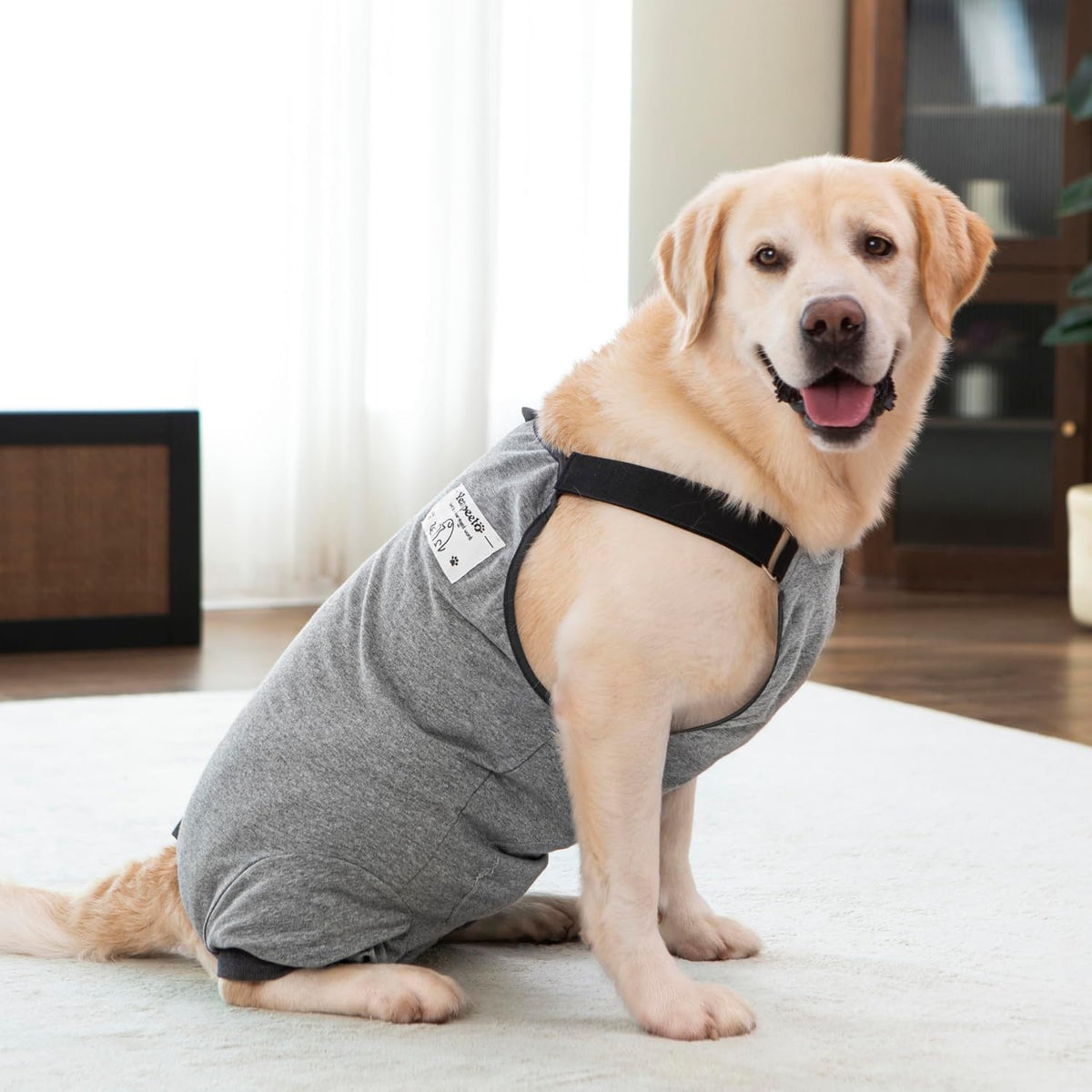 Dog Recovery Suit for Hid Leg, Soft Stretchy Pants for Hip Thigh Wound Protective Sleeves to Prevent Licking (Grey, 4XL(Reference Weight 50-70 lbs))