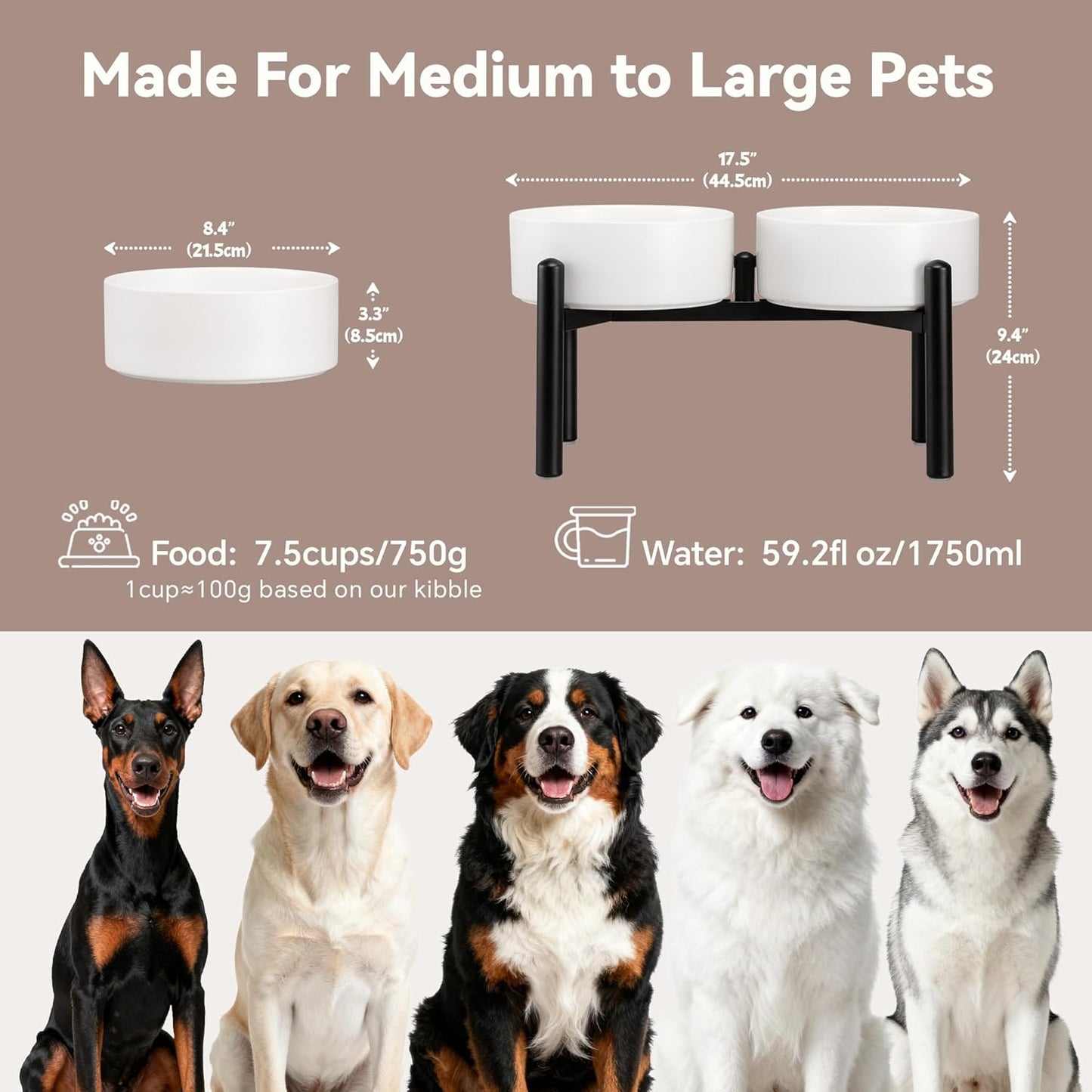 Raised Ceramic Dog Bowl Set - Elevated Double Dishes with Stainless Steel Stand - Food and Water Bowls for Small to Medium Dogs - Each Holds 3.5 Cups (29.57 fl oz) - White