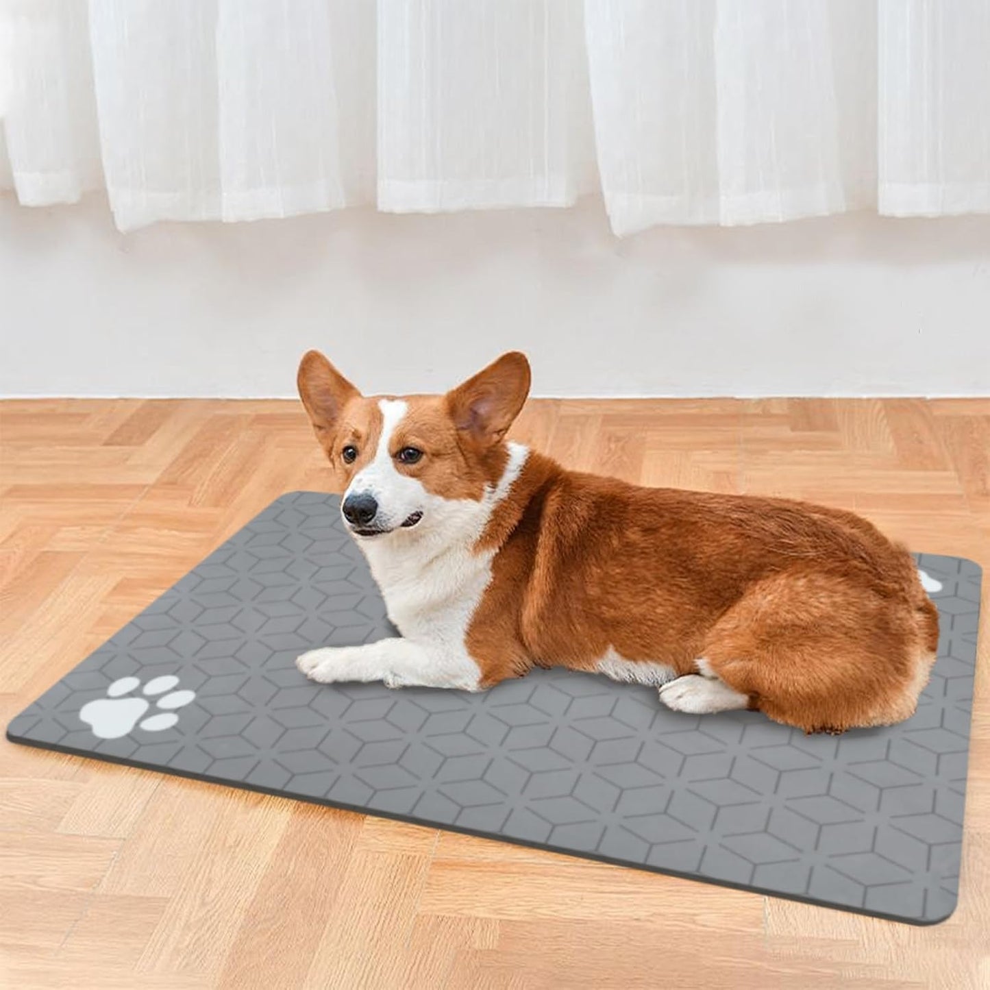 Le courant Dog Cat Feeding Mat,Water Absorbent, Non Slip Placemat for Pets Bowl and Water,100% Waterproof Feeding Mats for Multiple Breeds.Grey.Bone Printing