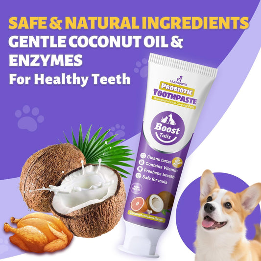 Vet Recommended Small Dog Teeth Brushing Kit - Soft Brush and Finger Brush removes 99% of Plaque, Natural Coconut Chicken-Flavored Toothpaste 2.5 oz. for Fresh Breath