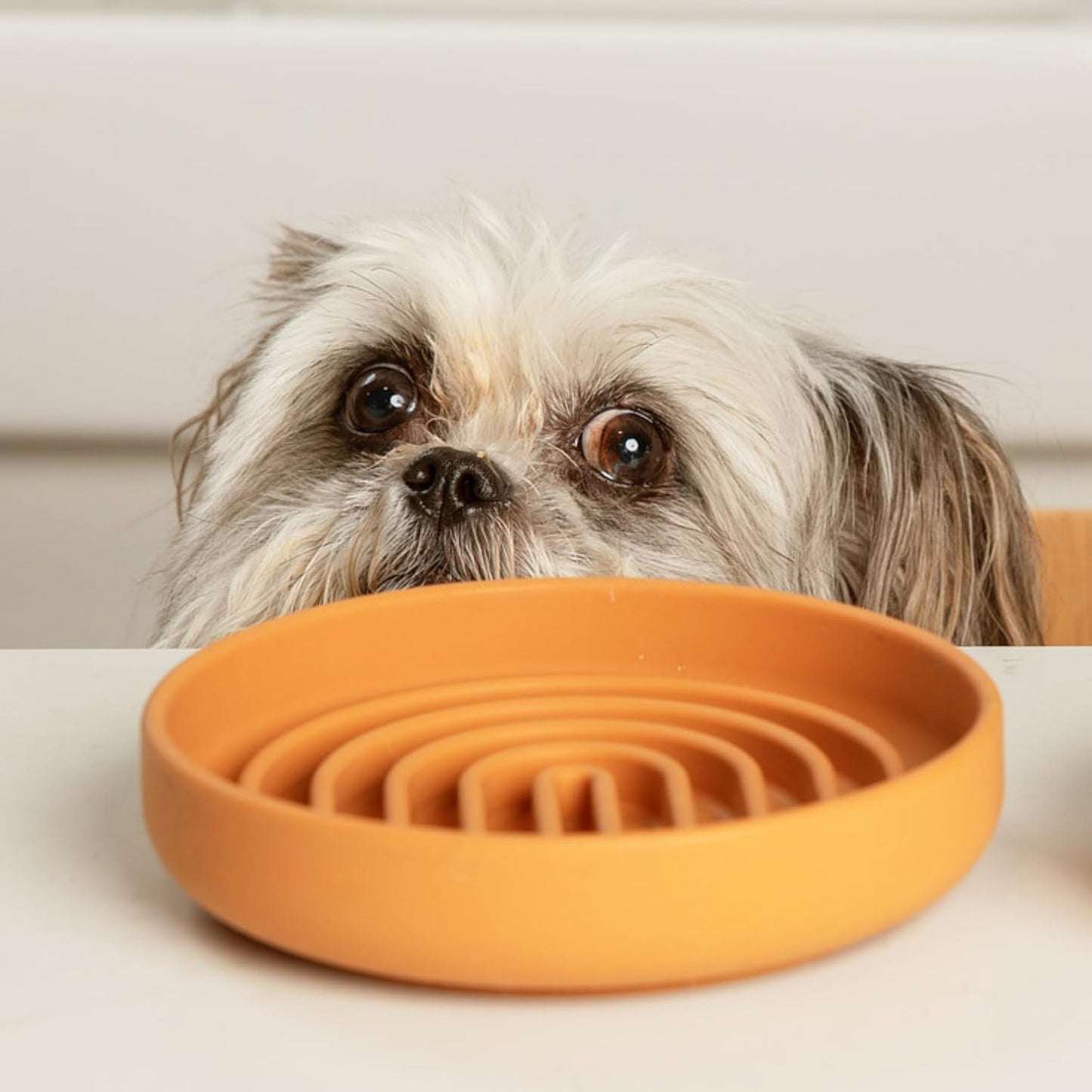 Should We Go? Slow Feeder for Dogs & Puppies, The Slowdown Bowl Silicone Slow Eating, Modern Lick Mat Design, Reduces Gulping, Fits 2 Cups, 7.5” Across x 1.5” Tall, Mealtime Challenge, Medium-Blush