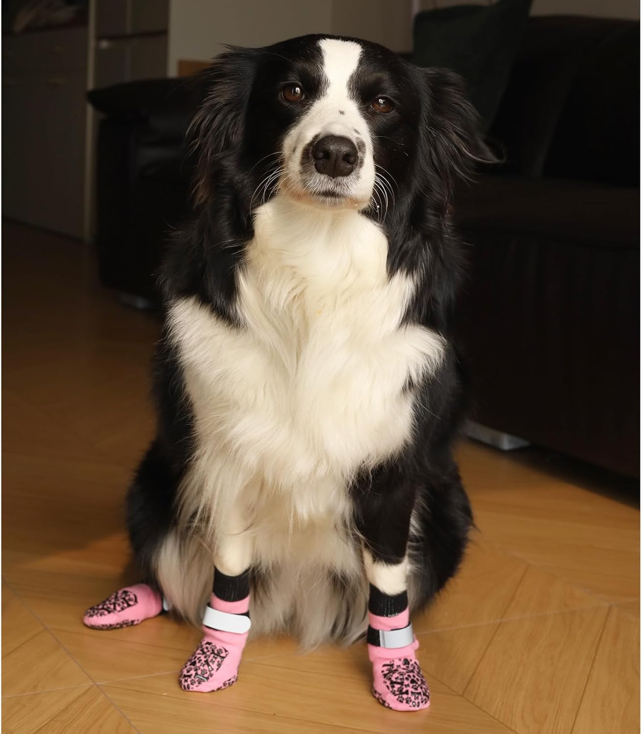 Dog Socks to Prevent Licking Paws, Anti Slip Dog Boots & Paw Protectors for Hardwood Floors, Toe Grips for Small Medium Large Senior Dogs, Dog Shoes for Hot/Cold Pavement(Blue Bone,L)