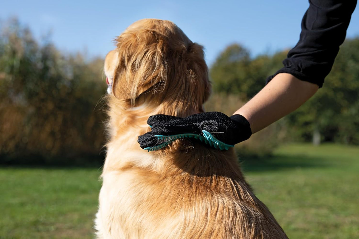 TRIXIE Pet Grooming Glove for Dogs and Cats, Cleans and Gently Softens Coat