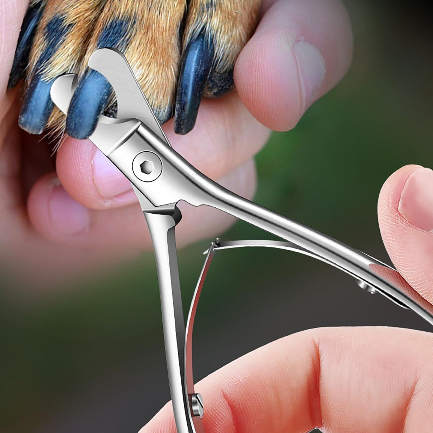 Pet Nail Clippers for Dogs & Cats – Sharp, Durable Blades with Beginner-Friendly, Hygienic Design for Small Pets Paw Care, Large Dog Nail Trimmer,Ergonomic Grooming Tool for Safe Pet Grooming