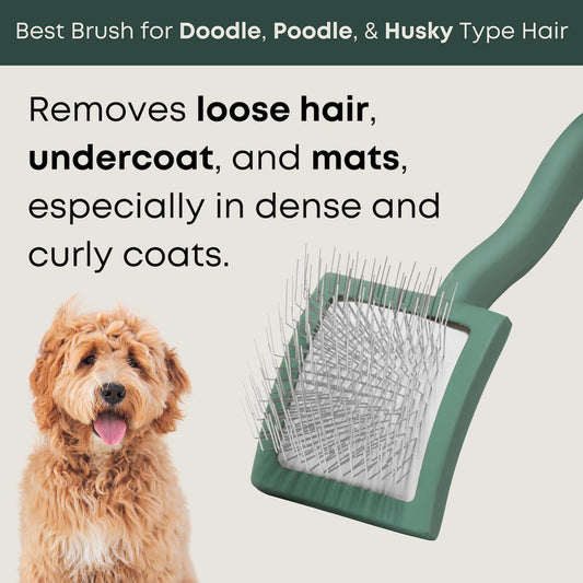 Freshly Bailey Doodle Brush for Goldendoodle, Poodle, and Labradoodle Coats - Best Slicker for Dogs With Wavy & Curly Hair - Detangle & Fluff Like a Pro - Grooming Must Haves (Large)