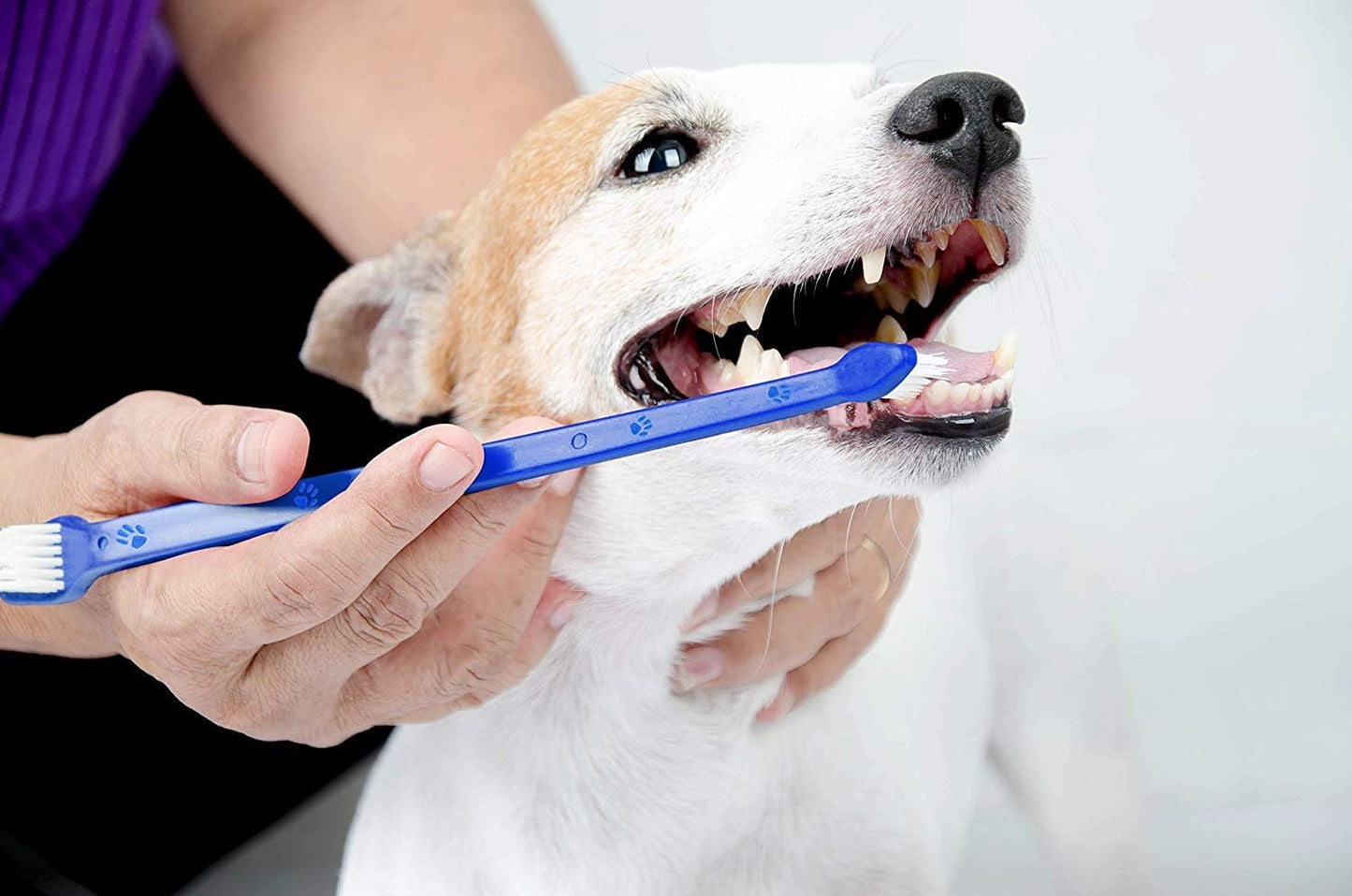 Pets First Softest Bristle Dog Toothbrush Extra Large Long Double Sided for Small & Large Teeth - Set of 2