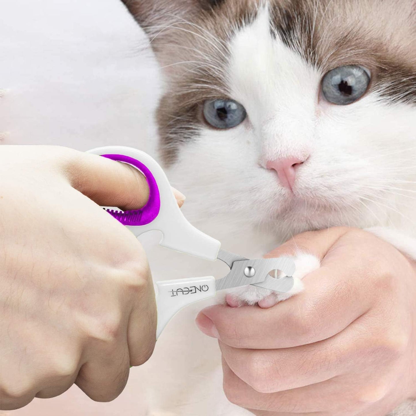 Pet Nail Clippers, Update Version Cat & Kitten Claw Nail Clippers for Trimming, Professional Pet Nail Clippers Best for a Cat, Puppy,Rabbit, Kitten & Small Dog,Sharp & Safe (Pink)