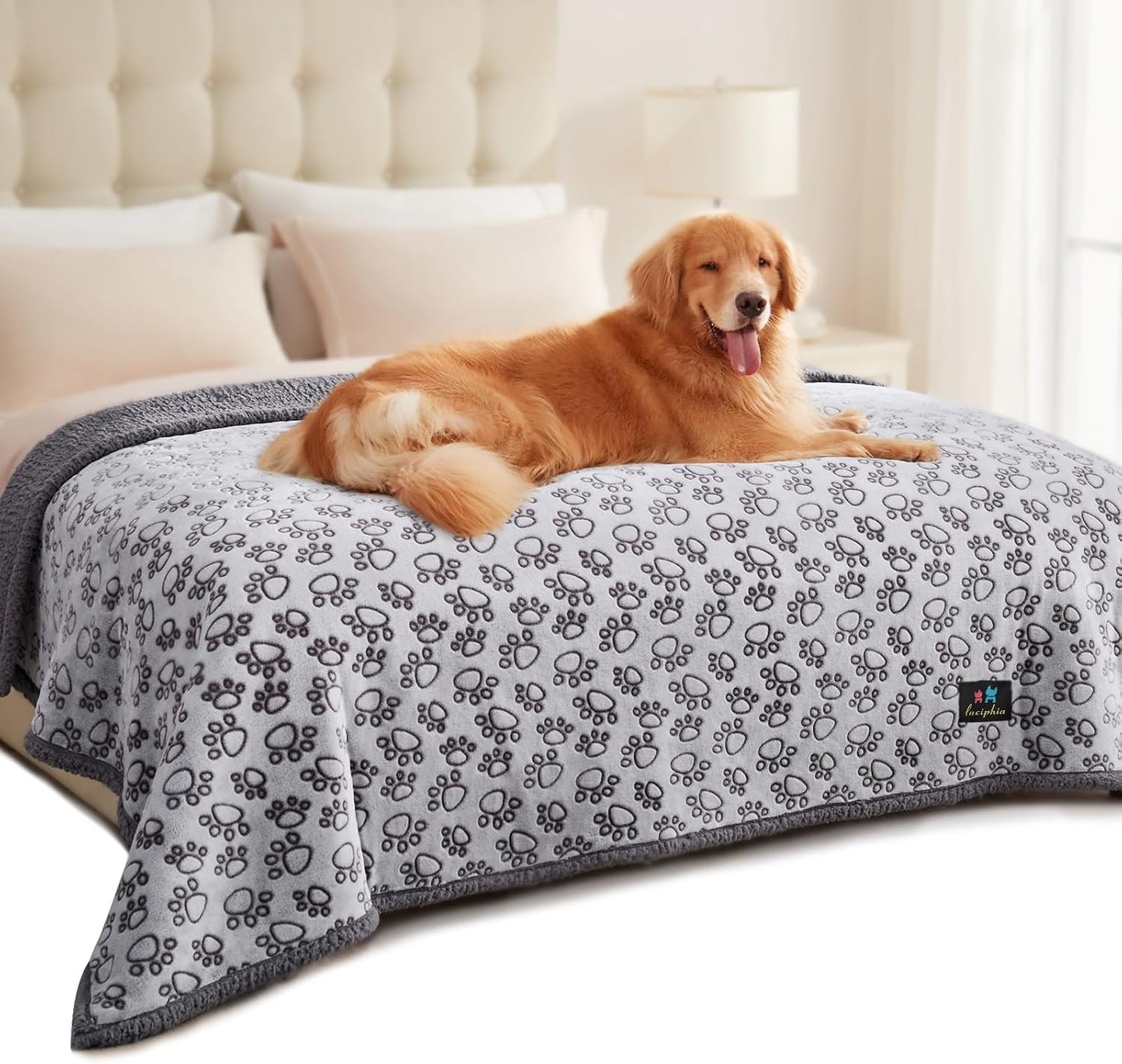 Luciphia Waterproof Pet Blankets for Couch Sofa Bed Cover Cat Liquid Pee Proof Washable Soft Fluffy Large Dog Blanket Reversible Furniture Protection Puppy Grey Paw Thicken Small(40" x 28")