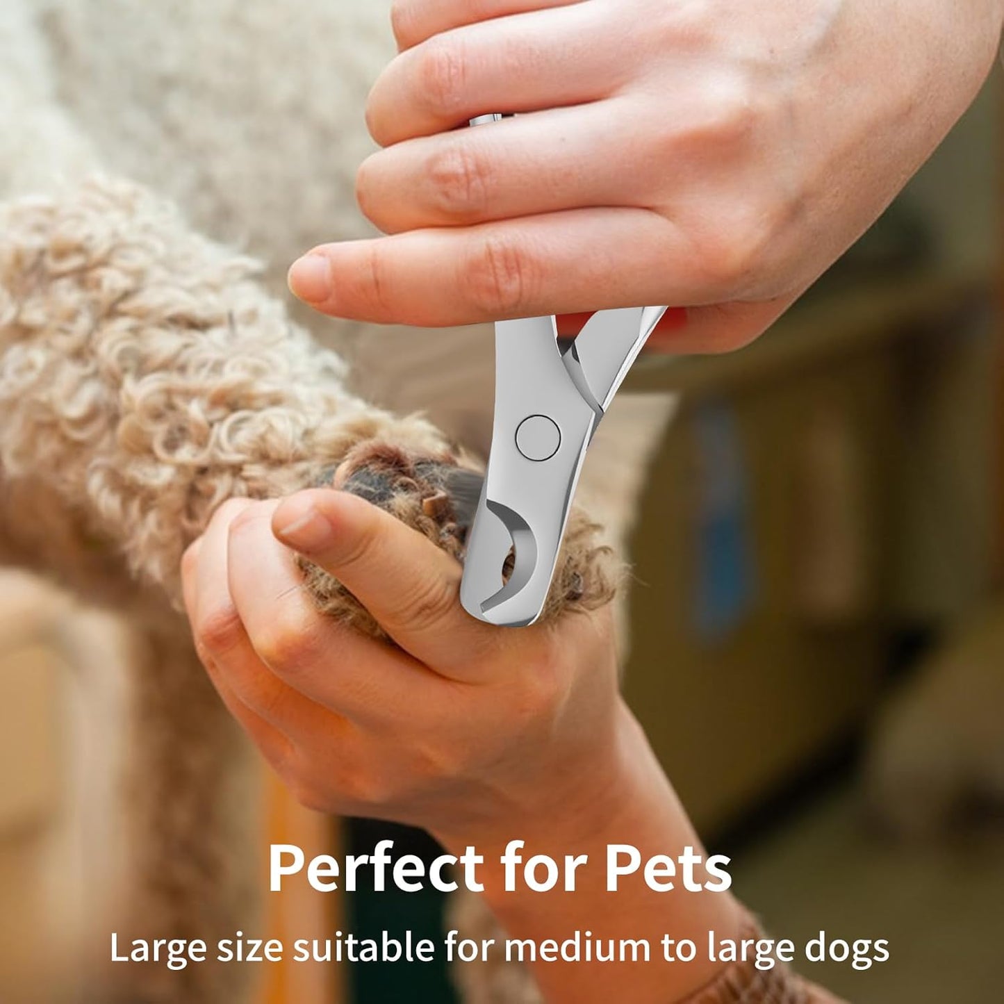 Stainless Steel Dog Nail Clippers & Trimmers - Heavy Duty Pet Nail Clippers for Large, Medium, Small Dogs & Cats