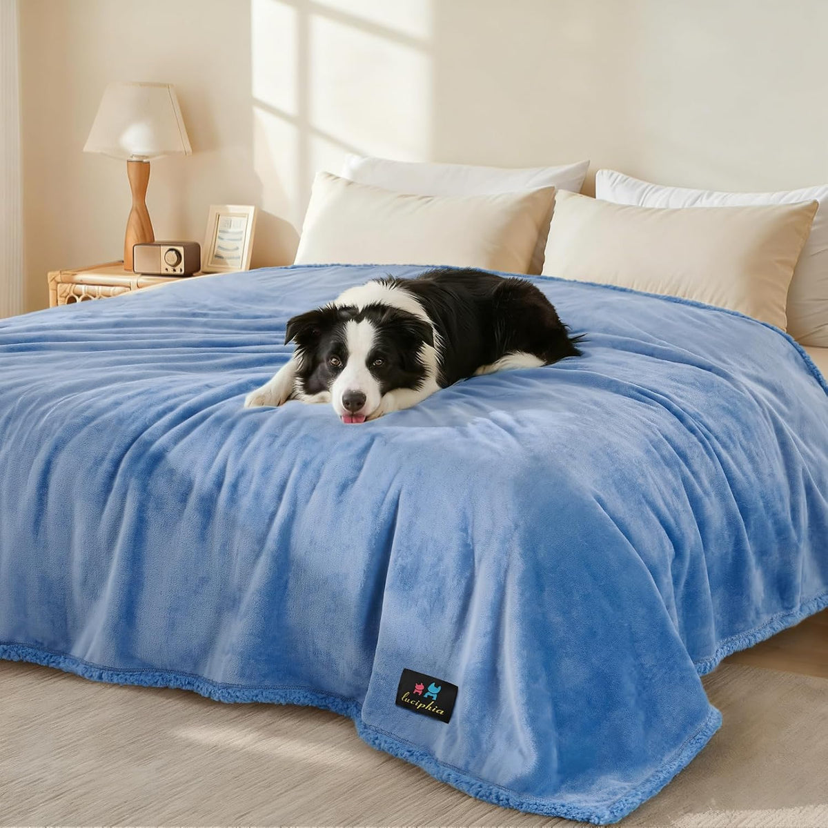 Waterproof Pet Blanket, Liquid Pee Proof Dog Blanket for Sofa Bed Couch, Reversible Sherpa Fleece Furniture Protector Cover for Small Medium Large Dogs Cats, Dark Gray Small(40" x 28") | waterproof pet blanket sherpa fleece reversible couch cover bed
