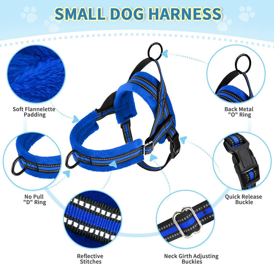 Small Dog Harness and Leash Set, No Pull Soft Padded Vest