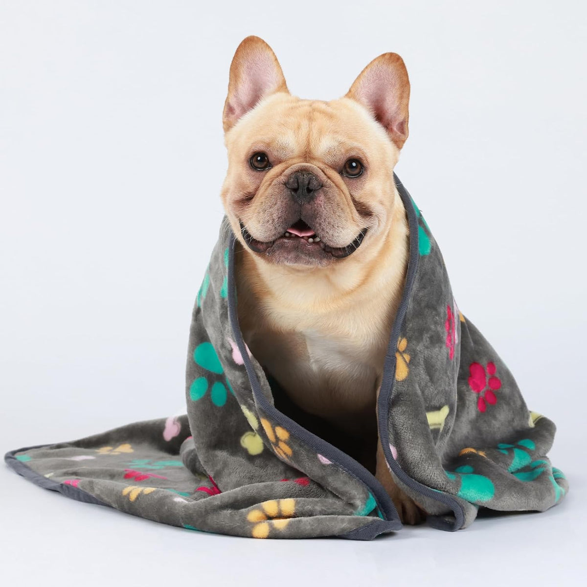 1 Pack 3 Blankets Fluffy Premium Fleece Pet Blanket Flannel Paw Printed Throw for Dog Cat(Small 23x16'', Grey/Brown/Blue)