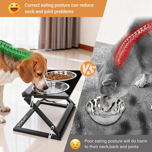 Elevated Dog Bowls, Adjustable Raised Dog Bowl Stand with 2 Stainless Steel Food Bowls 20°Tilted Water Bowls for Medium Small Sized Dogs (Black, Medium)