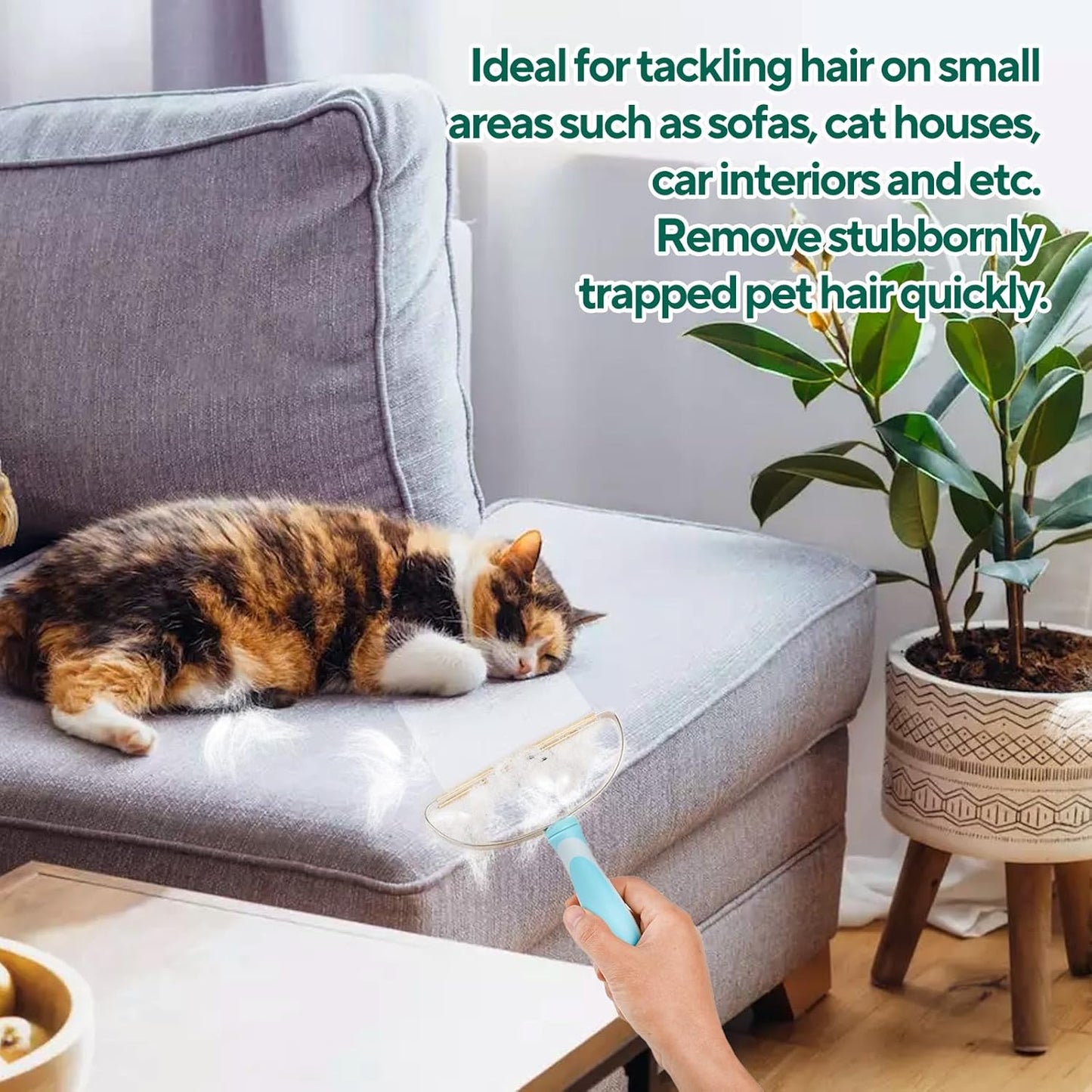 Pet Hair Remover, Retractable Carpet Scraper Rake, Portable Carpet Scraper of Dog Cat Hair Remover for Embedded Fur Removal from Carpet, Stair or Rug
