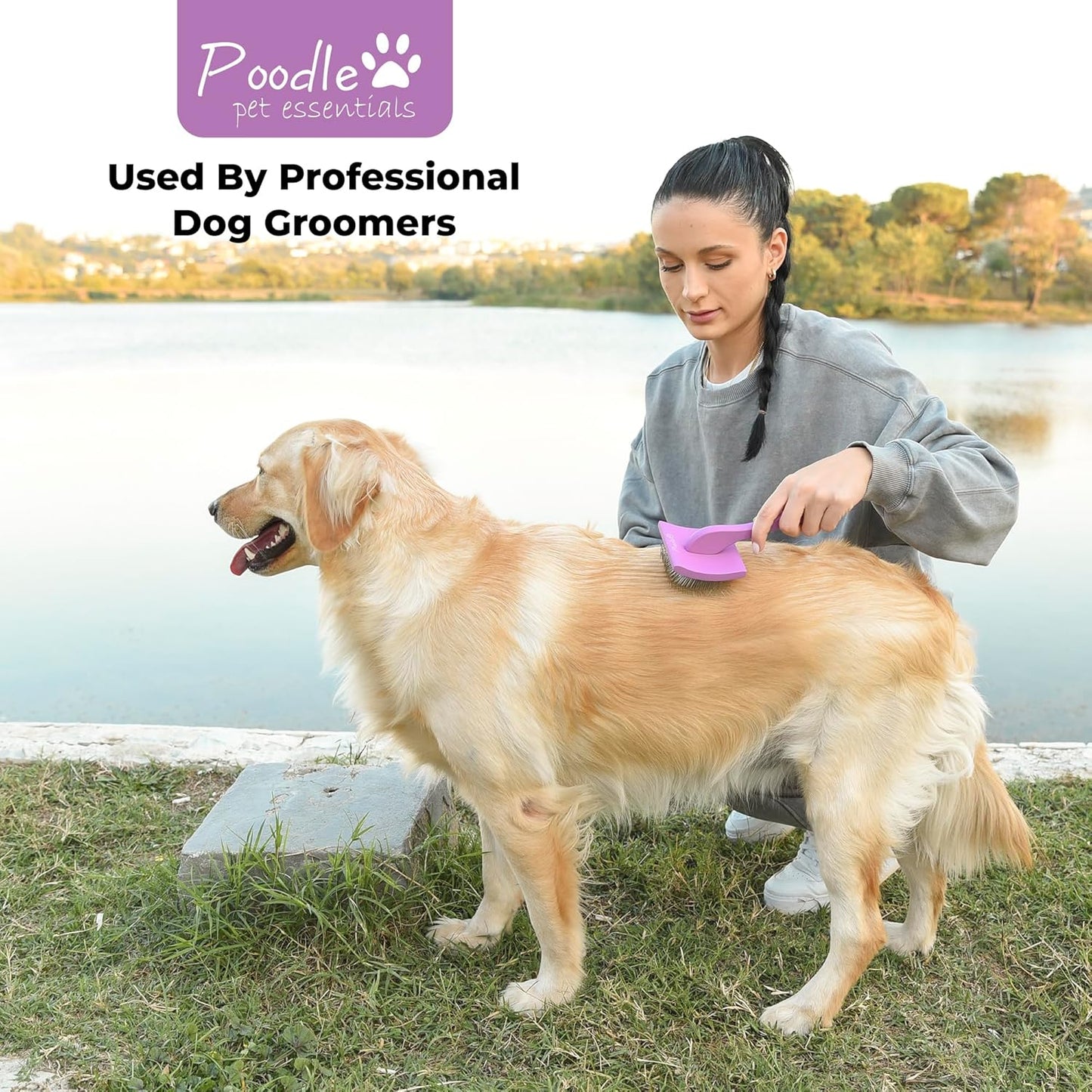 Slicker Brush for Dogs - Detangling Dog Brushes for Grooming with Soft Bristles & long Pins - Professional Cat Deshedding Tool to Removes Tangles & Dirt (large)