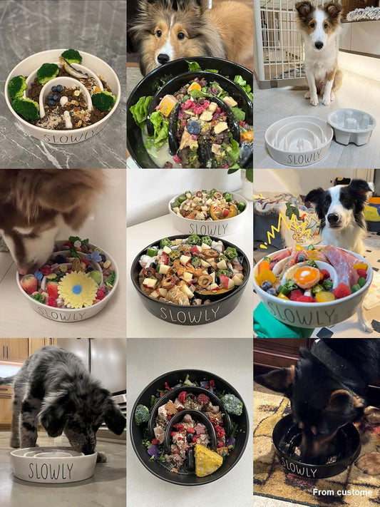 Slow Feeder Dog Bowl - 1.5 Cups Ceramic Puzzle Feeder for Small & Medium Breeds, Maze Design Bowl for Puppy & Fast Eaters, White Pet Dish to Control Eating Speed