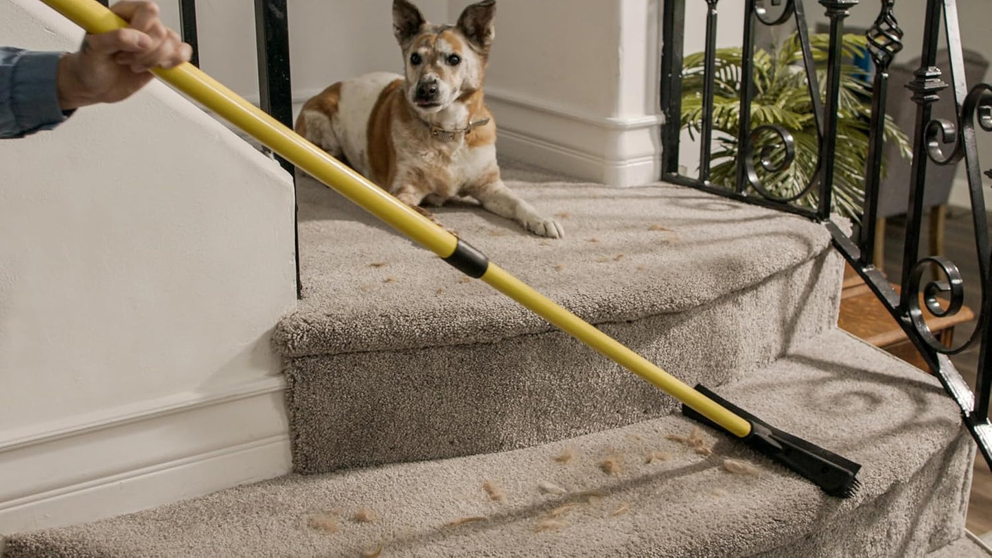 Original Pet Hair Rubber Broom with Squeegee, with 58" Telescopic Handle for Carpet, Tile and Hardwood