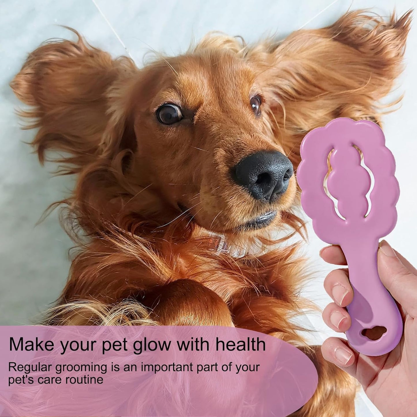 Cloud Shape Small Dog Grooming Brush - Soft Pin Brush for Gentle Detangling & Massage Puppy Hair Comb for Maltese, Shih Tzus, Yorkies, and Puppies, Pink