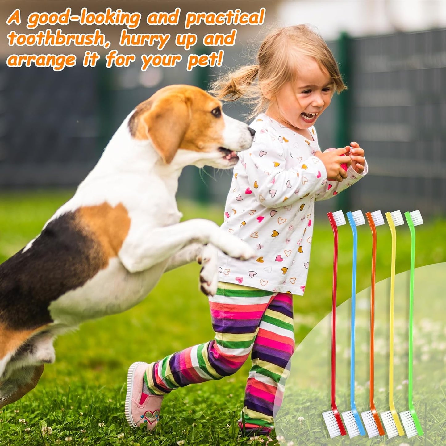 Honeydak Dog Toothbrush Bulk Dual Headed Dental Brushes Dogs Tooth Brushing Kit Long Handle Pet Tooth Brush for Puppy Large Small Cats and Most Pets Teeth Cleaning Dental Supplies(70 Pcs,Colorful)