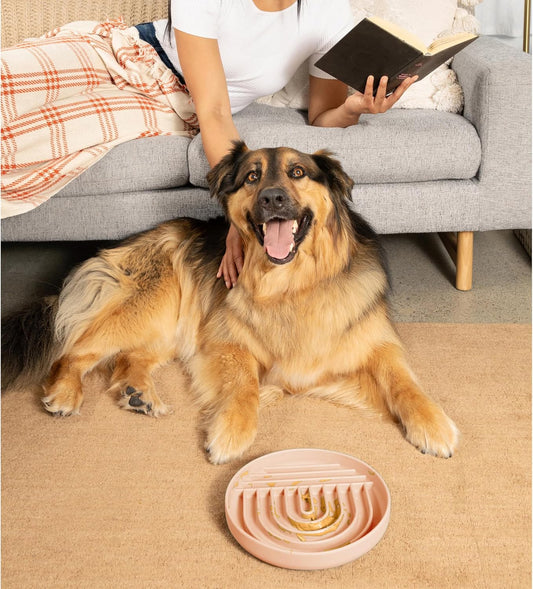 Should We Go? Slow Feeder for Dogs & Puppies, The Slowdown Bowl Silicone Slow Eating, Modern Lick Mat Design, Reduces Gulping, Fits 2 Cups, 7.5” Across x 1.5” Tall, Mealtime Challenge, Medium-Blush