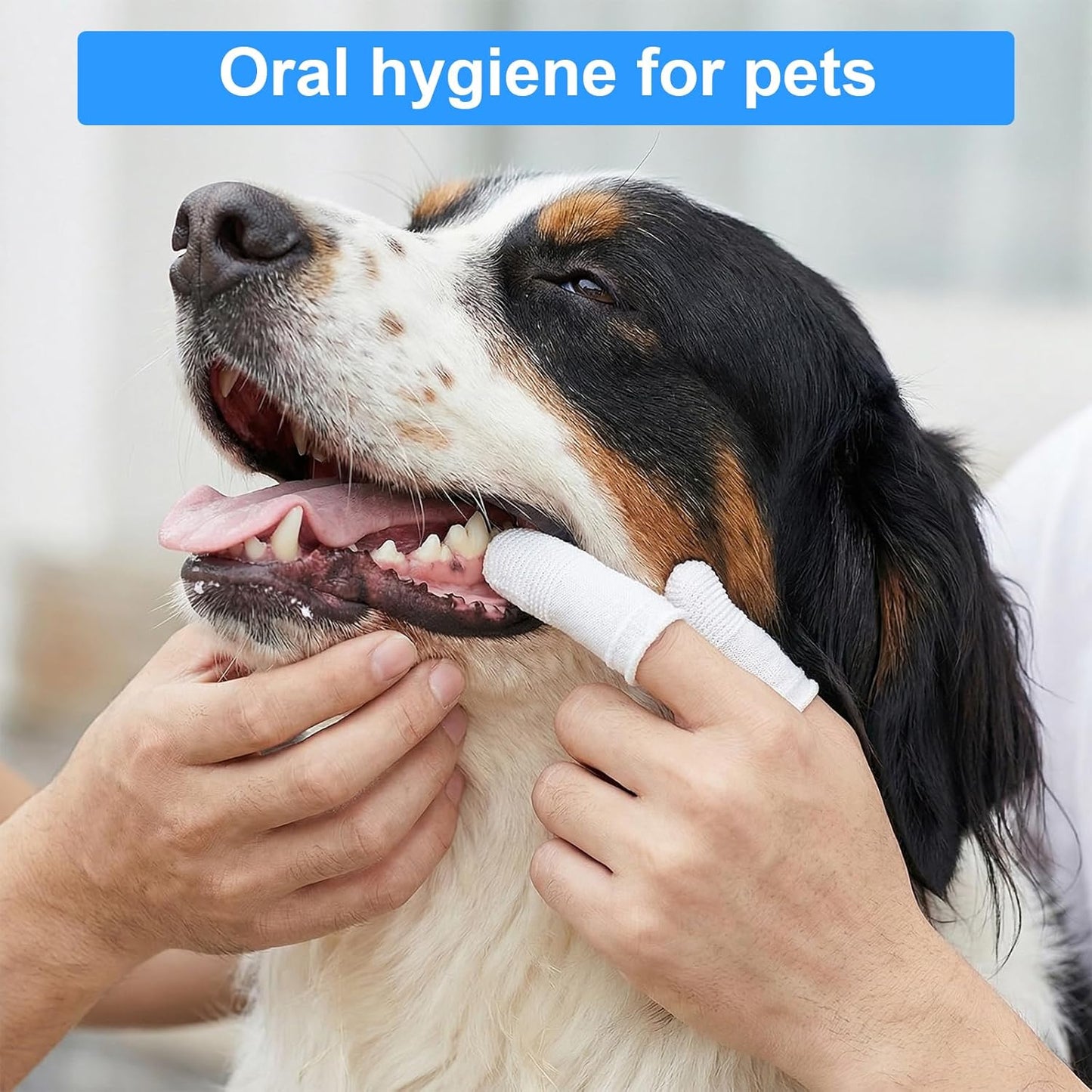 25Pcs Cat & Dog Toothbrush Soft Fabric Pet Finger Toothbrush Kit Washable & Reusable Oral Cleaning Wipes for Puppies Kittens at Home Dental Care (White and Clear)