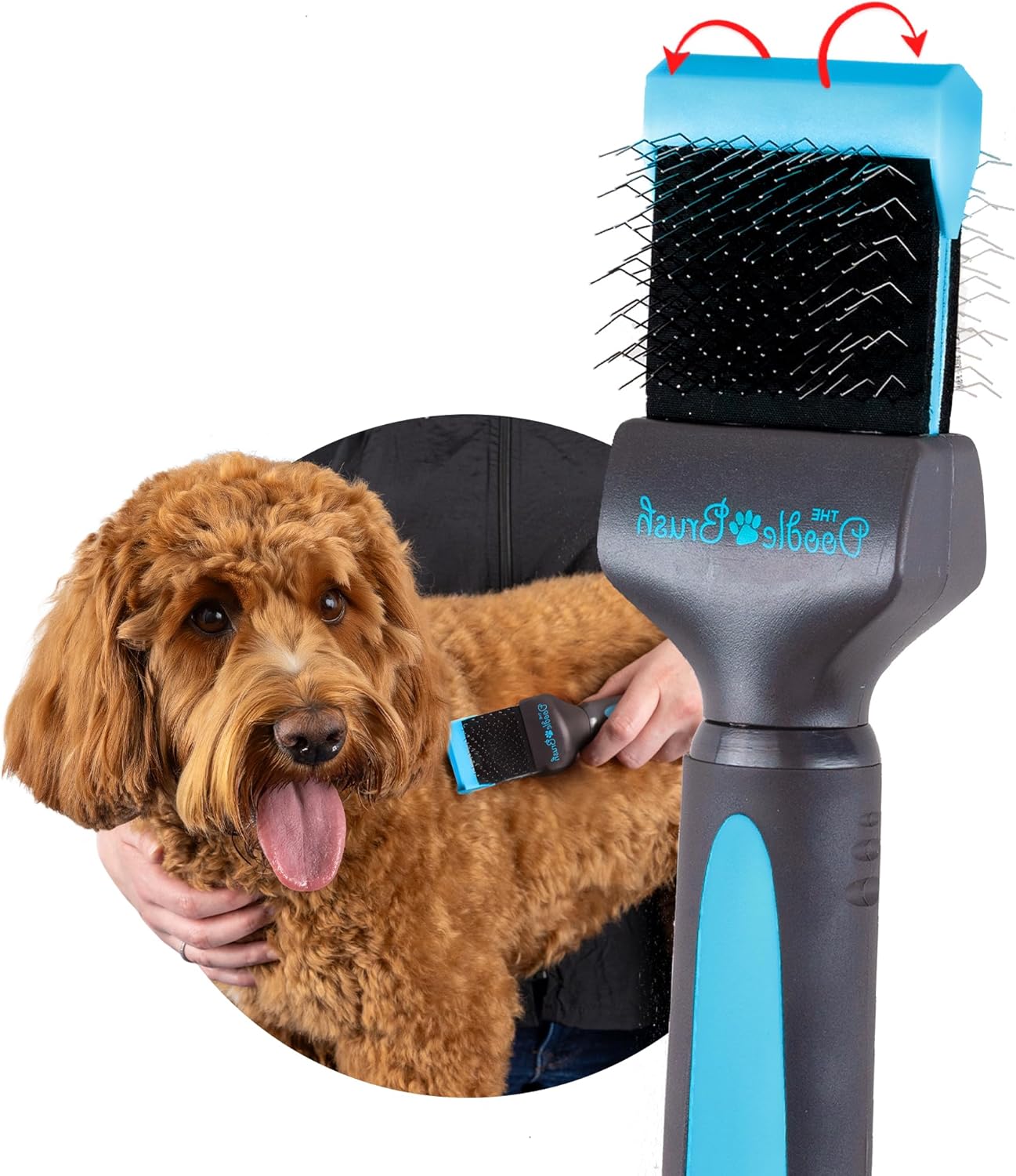 Slicker Brush for Dogs, Single Head Dog Hair Brushes, Flexible Head Slicker for Dogs, Poodle, Labradoodle, Sheepadoodle, Tangle-Free Grooming, Healthy & Shiny Coat Pet Brushes