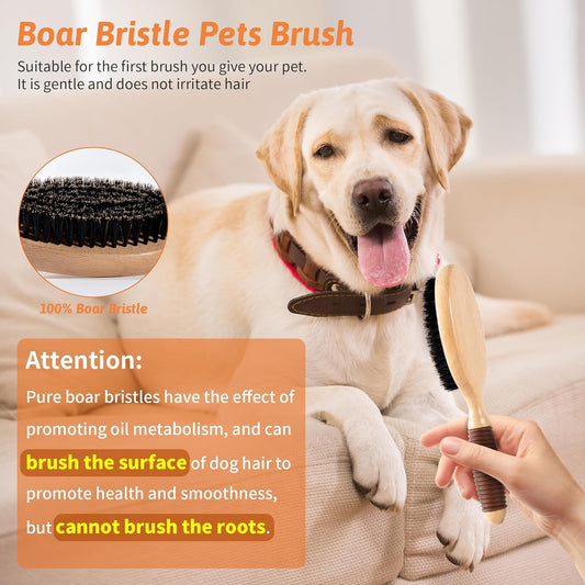 Dog Brush for Long Haired Dogs, 27mm Extra Long Metal Pin Dog Deshedding Brush and Comb Set, Short Haired Shedding Grooming Detail Pets Brush Set with Rubber Handle