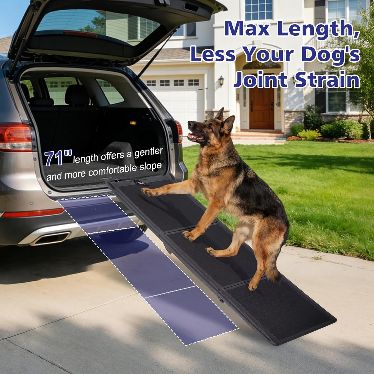 Foldable Dog Ramp for Car, 71" L & 17" W Folding Dog Ramps with Non-Slip Surface, Pet Ramp for SUV & Truck, Portable Dog Step Ramp for Large Dogs, 250 LBS Weight Capacity