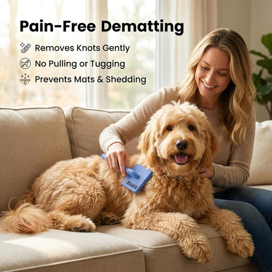 We Love Doodles Large Slicker Brush & Lavender Detangler Spray Pack - for Long-Haired Dogs, Dog Leave-In Conditioner for Reducing Mats, Knots & Tangles, Dematting & Conditioning Kit, 16 oz