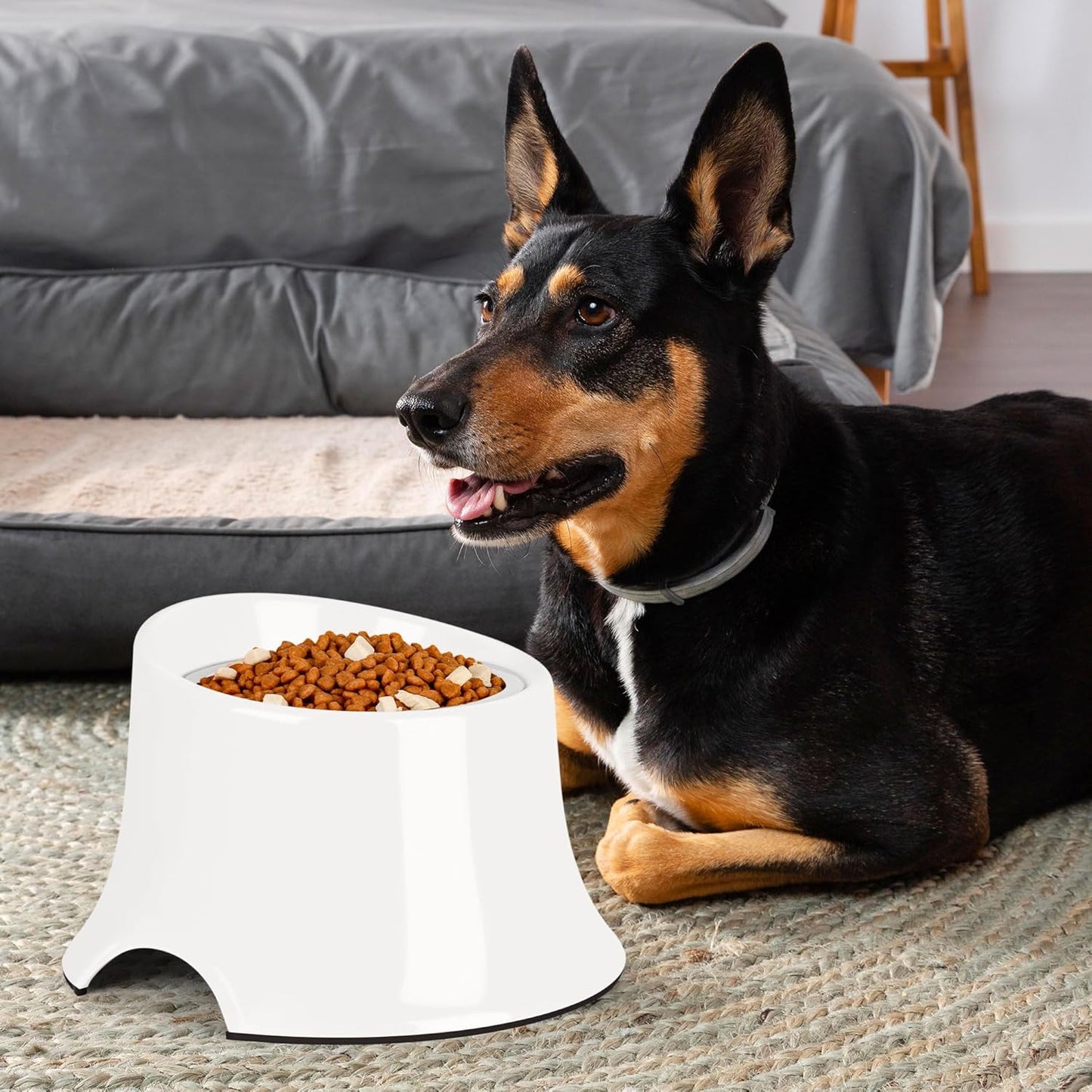 Tilted Elevated Dog Bowls Non-Slip & Non-Spill Pet Feeder with Elevated Detachable Melamine Stand, High Capacity Tilted Dog Bowl for Medium Small Size Dogs M/2 Cup Black