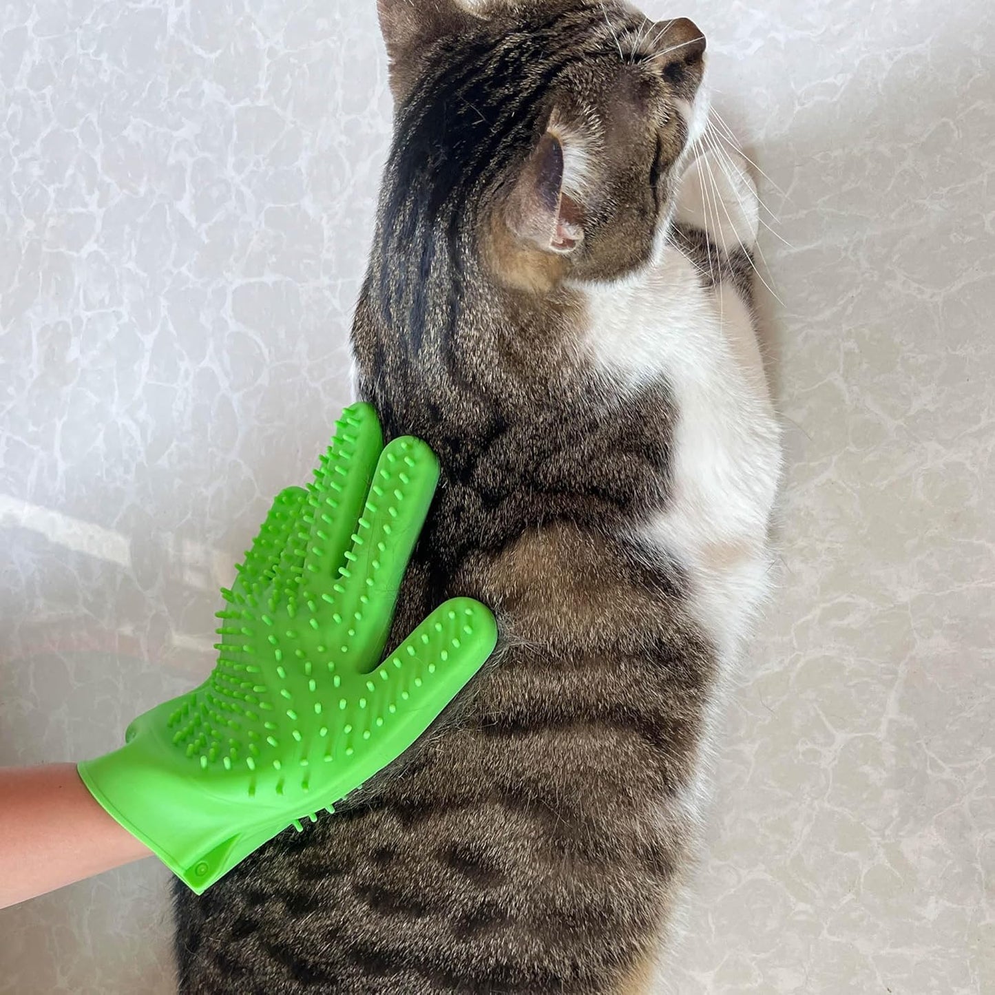 Pet Grooming Bath Gloves - Double Sided Silicone Hair Removal Mitts for Dogs & Cats, Deshedding & Bathing Brush 2-in-1 for Wet/Dry Use - 2 Pack