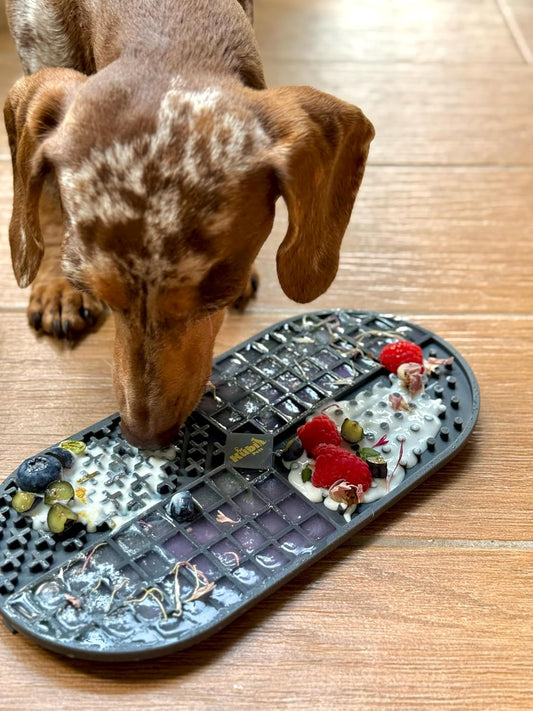 Ovalicious Slow Feeder Lick Mat for Dogs – Interactive & Dishwasher Safe