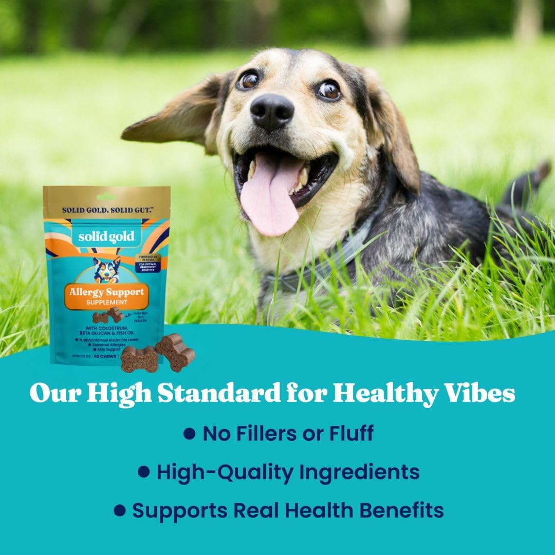 Solid Gold Dog Allergy Chews for Itchy Skin & Immune Support